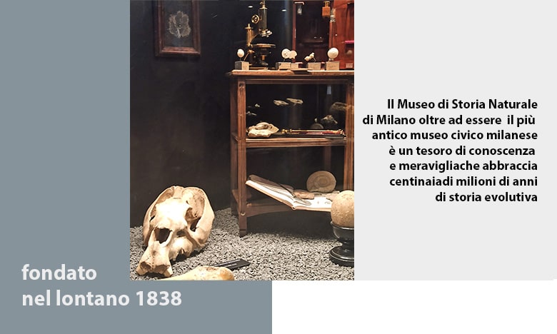 fondazione del museo di storia naturale di Milanol