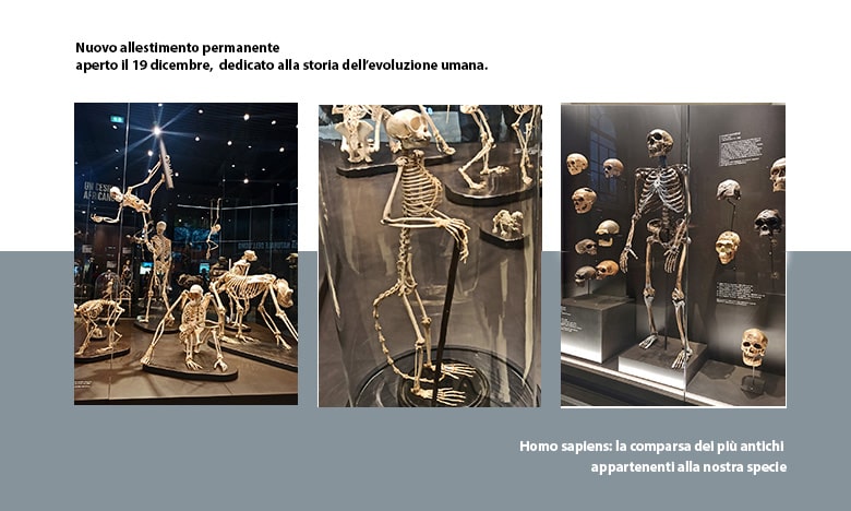 sala evoluzione umanoa museo di storia naturale di Milano